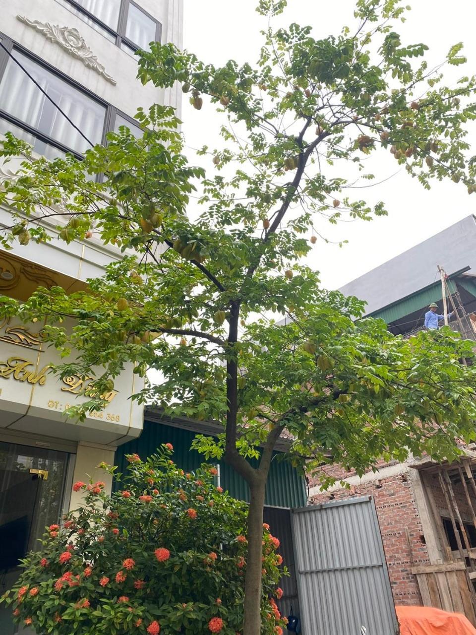 하롱 Nha Nghi Anh Dung B&B 외부 사진