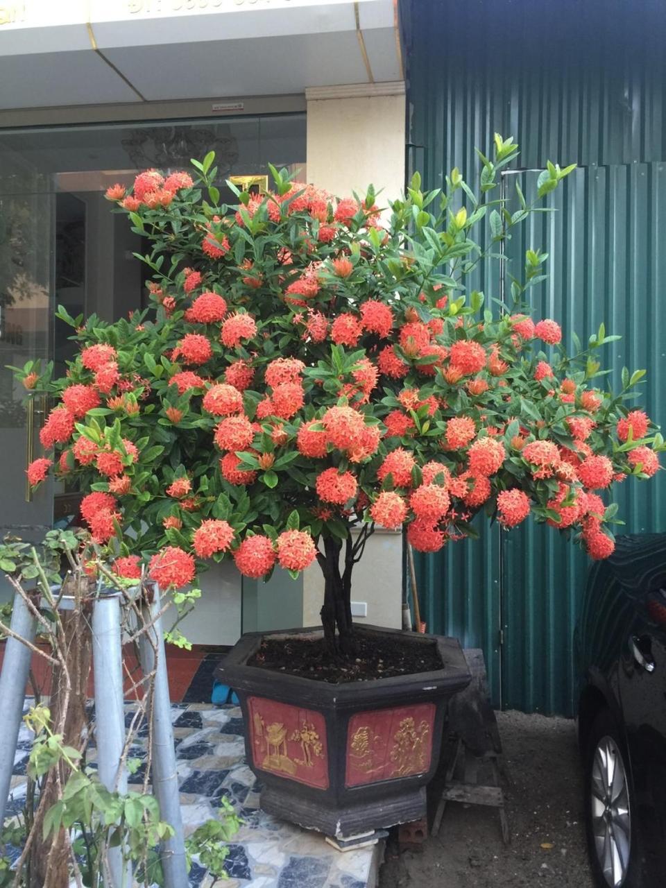 하롱 Nha Nghi Anh Dung B&B 외부 사진