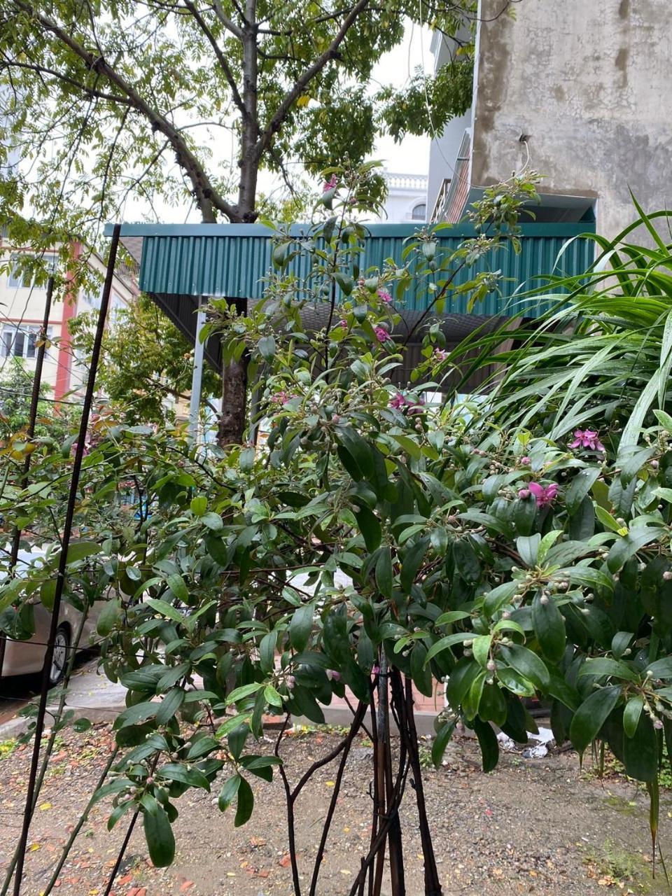 하롱 Nha Nghi Anh Dung B&B 외부 사진